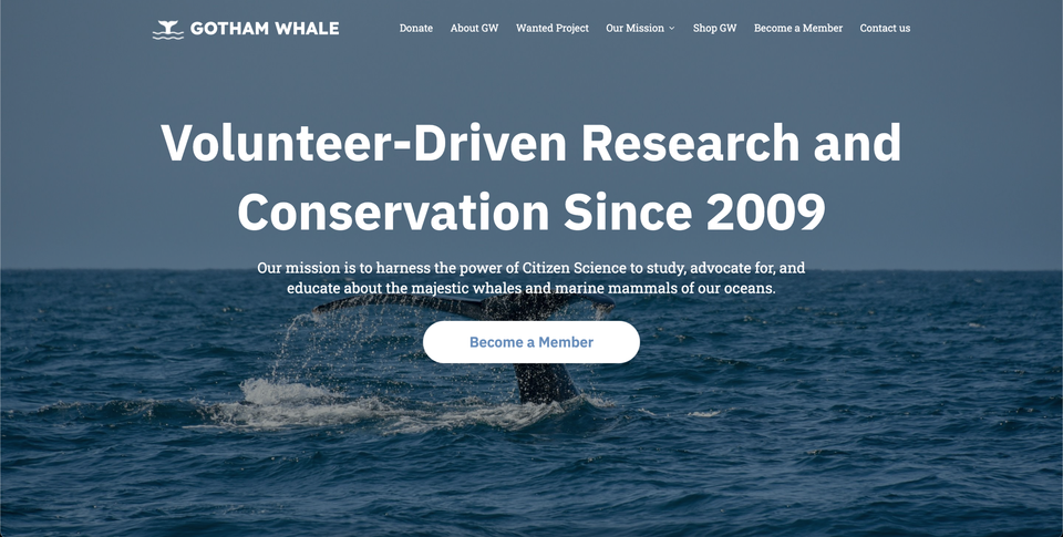 Gotham Whale: Case study